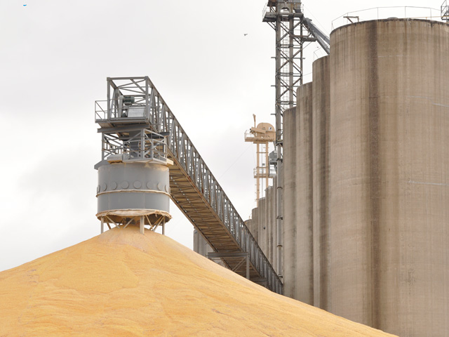 U.S. corn stocks totaled 11.212 billion bushels as of Dec. 1, USDA said on Tuesday. (DTN file photo by Scott Kemper)